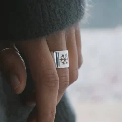 Anillo Alp
