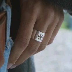 Anillo Alp