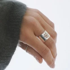 Anillo Alp