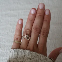 Anillo Bicio