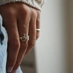 Anillo Bicio