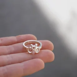 Anillo Bicio