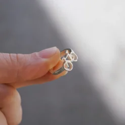 Anillo Bicio