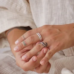 Anillo C1