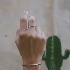 Anillo C2
