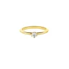 Anillo Classic