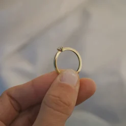 Anillo Classic
