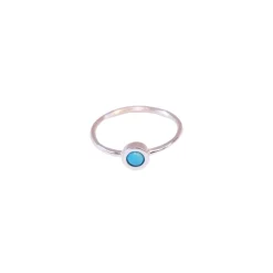 Anillo Earth
