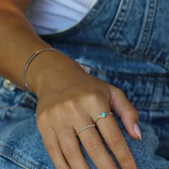 Anillo Earth