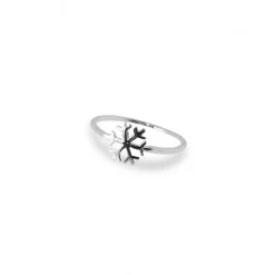 Anillo Floc