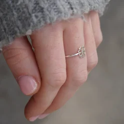 Anillo Floc