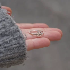 Anillo Floc