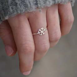 Anillo Floc
