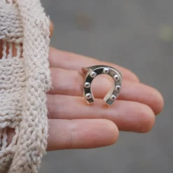 Anillo Herradura