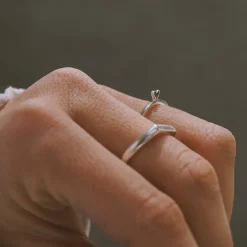 Anillo In