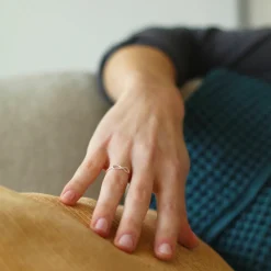 Anillo Infinito