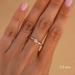 Anillo Lazo