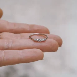 Anillo Maia
