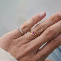 Anillo Manut