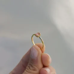 Anillo Manut
