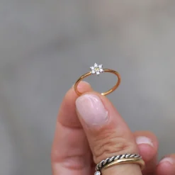 Anillo Marga
