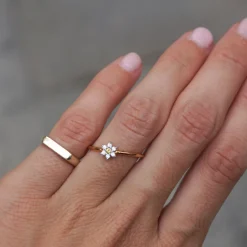 Anillo Marga