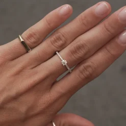 Anillo Maui