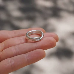 Anillo Mus
