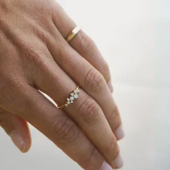 Anillo Reve