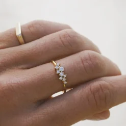 Anillo Reve