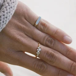 Anillo Reve