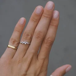 Anillo Reve