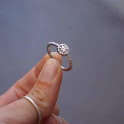 Anillo Rosetón