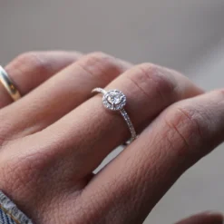 Anillo Rosetón