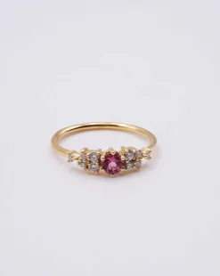 Anillo Santa Fe