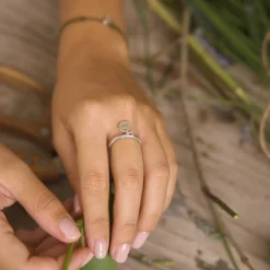 Anillo Sau