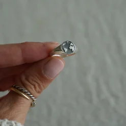 Anillo Terra
