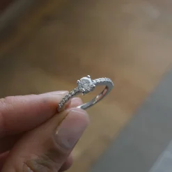 Anillo Versalles