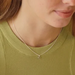 Collar Peace