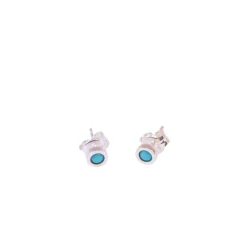 Pendientes Earth