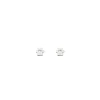 Pendientes Huella