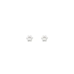 Pendientes Huella